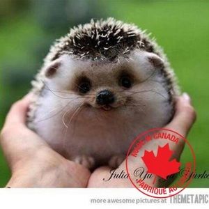 Meet your Posher, Lori